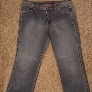 Gloria Vanderbilt Faded Blue Straight Leg Jeans